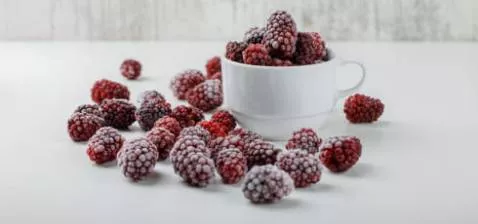 Шоковая заморозка ягод