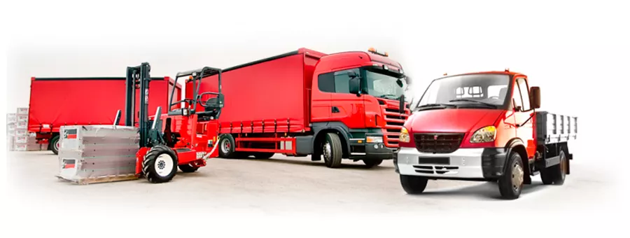 Доставка в пределах МКАД бесплатно!