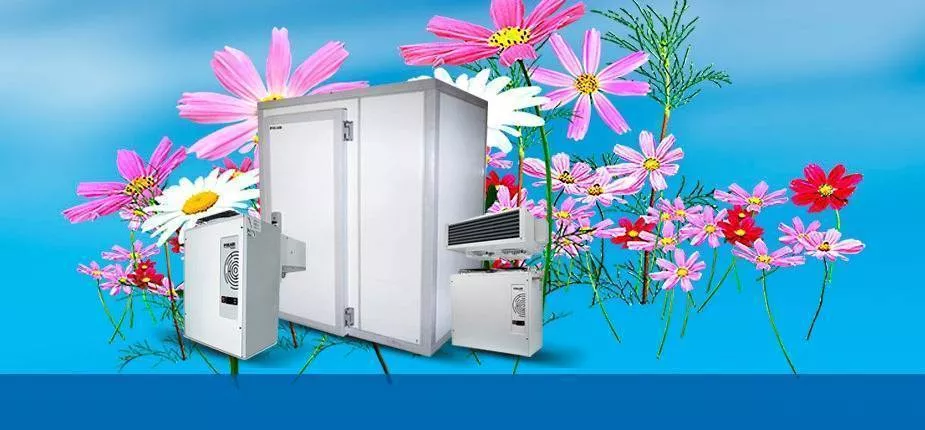 Первая весенняя акция продлена!